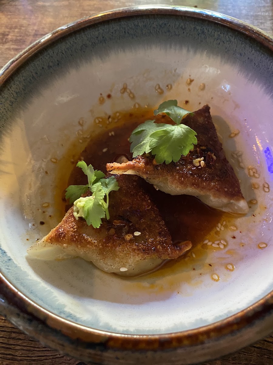 The Little Rickshaw-6